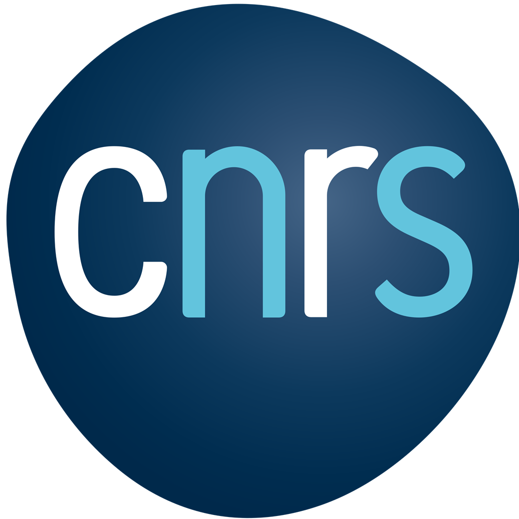 2048px-Centre_national_de_la_recherche_scientifique.svg.png