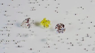 Capture d’écran 2026-03-26 à 18.29.49.png