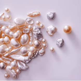 Capture d’écran 2024-09-17 à 18.23.47.png