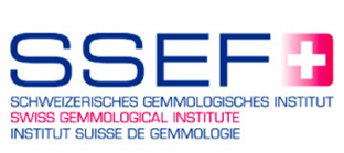 Capture d’écran 2024-11-15 à 14.27.31.png